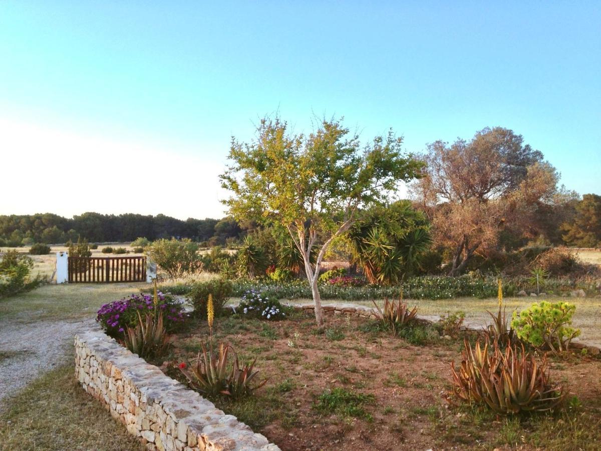 Ses Oliveres Villa Cala Saona Bagian luar foto