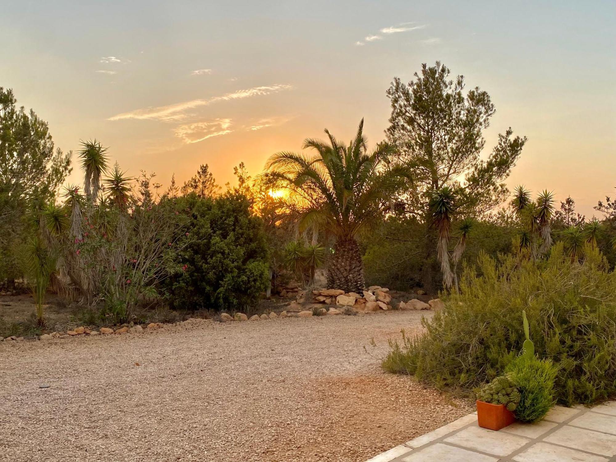 Ses Oliveres Cala Saona Bagian luar foto
